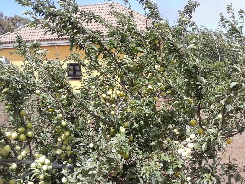 Casa Fatima Valle Gran Rey Ruang foto
